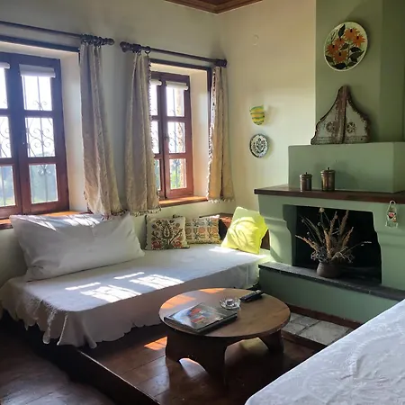 Kontogianni - Materka