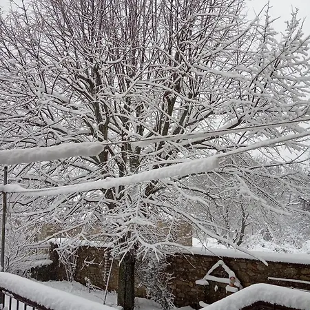 Kontogianni - Materka *