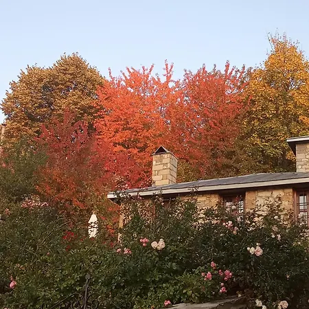 Kontogianni - Materka Nimfaíon